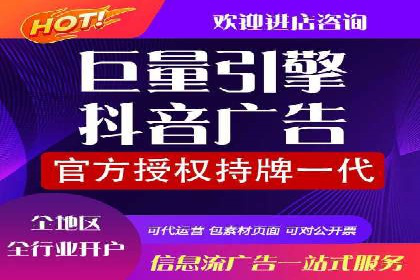 竞价广告的投放策略调整：基于数据反馈的实战案例